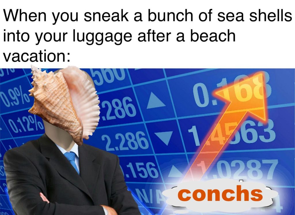 "When you sneak a bunch of sea shells into your luggage after a beach vacation : CONGS". Based on the STONKS meme
